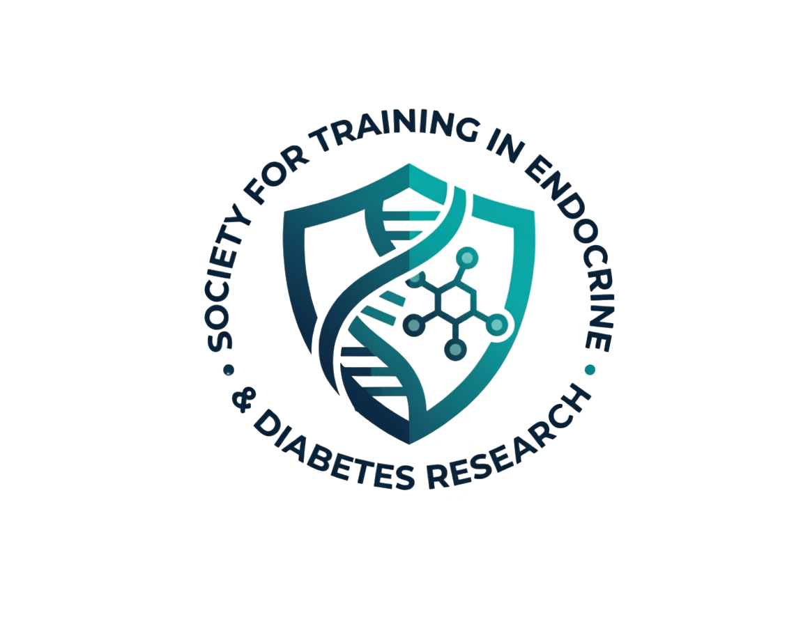 STEADY logo illustration